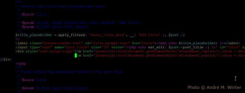 Master the Art of Shopping: Key Techniques for Scrutinizing Product Details