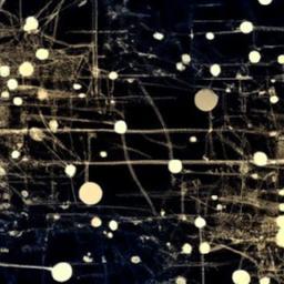 maximizing Value Thru Informed Decision-Making